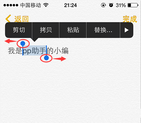果粉不可或缺:iPhone打字高手培养手册