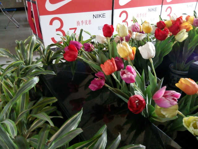 5英寸真8核 799元酷派大神F1青春版评测 