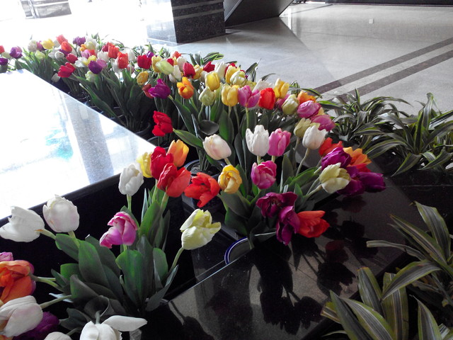 精致外观高清屏四核机 富可视M310评测 