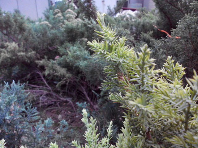 精致外观高清屏四核机 富可视M310评测 