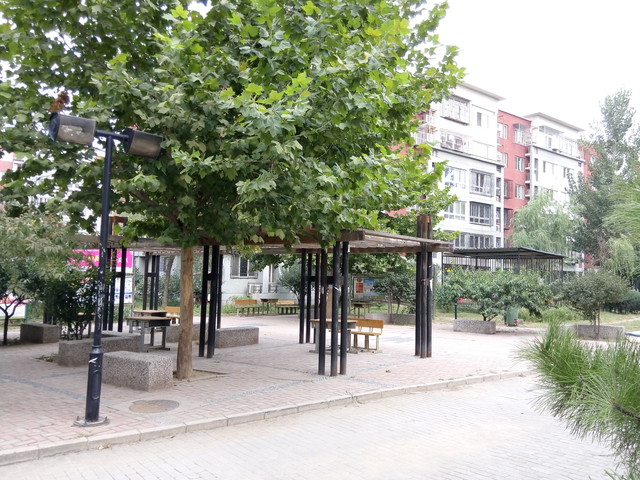 梦幻彩虹机身配MT6595M 联想手机X2评测 