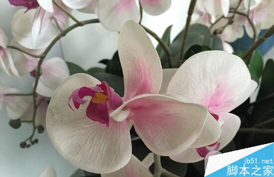 4.7寸iPhone6全面评测 