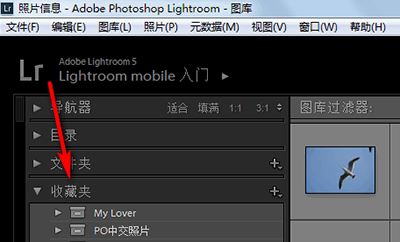 lightroom创建收藏夹集和收藏夹教程