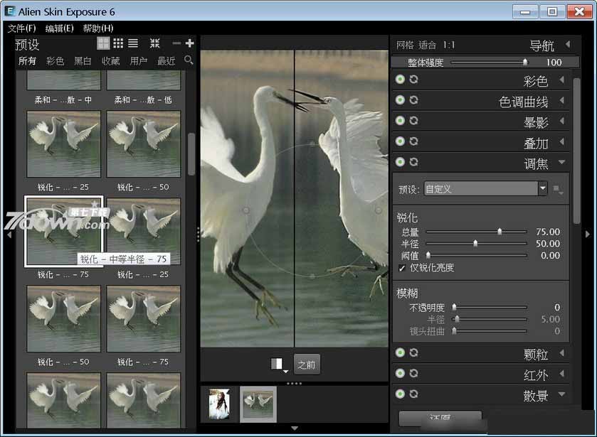Alien Skin Exposure 6完全汉化版安装及破解图文详细教程