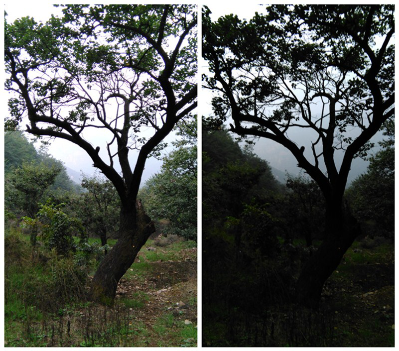 电信４Ｇ　性价王者　荣耀畅玩4电信版评测体验图片17