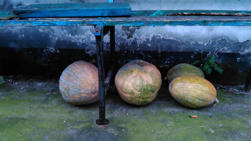 电信４Ｇ　性价王者　荣耀畅玩4电信版评测体验图片29