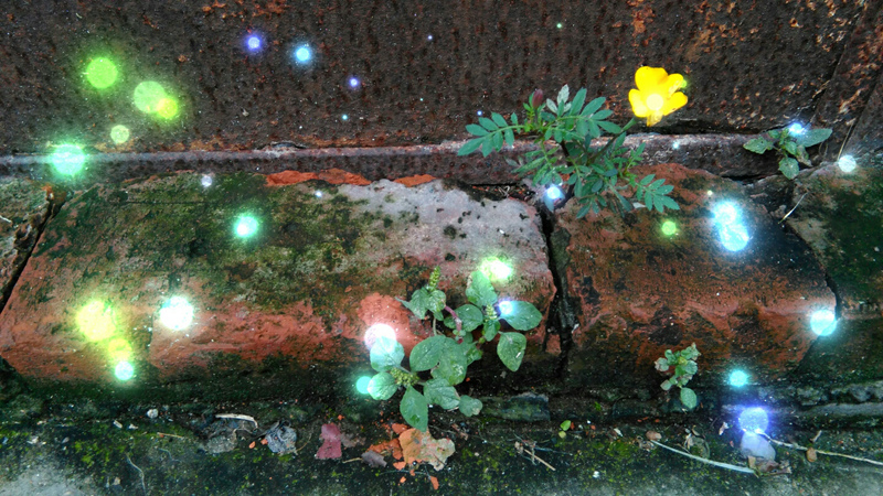 电信４Ｇ　性价王者　荣耀畅玩4电信版评测体验图片34