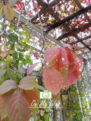 升级麒麟928芯片 华为荣耀6至尊版评测 