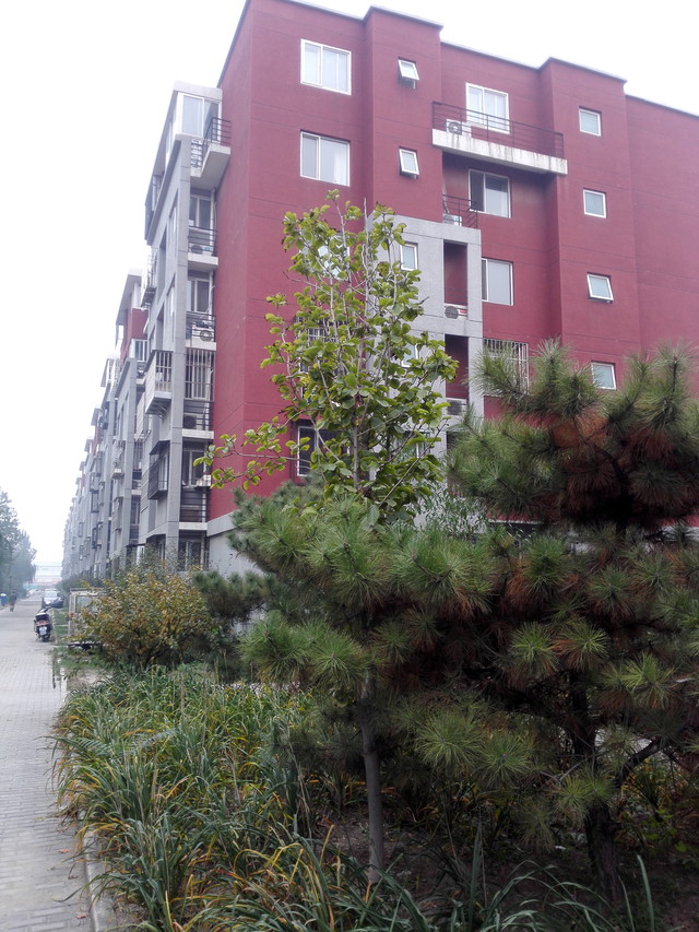 升级麒麟928芯片 华为荣耀6至尊版评测 