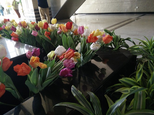 强强连"音" 一加手机JBL特别版全面评测 