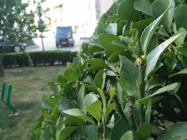 强强连"音" 一加手机JBL特别版全面评测 