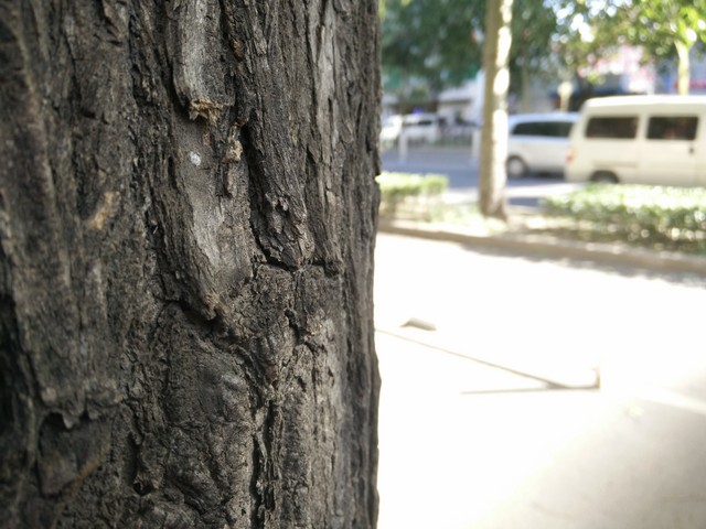 强强连"音" 一加手机JBL特别版全面评测 