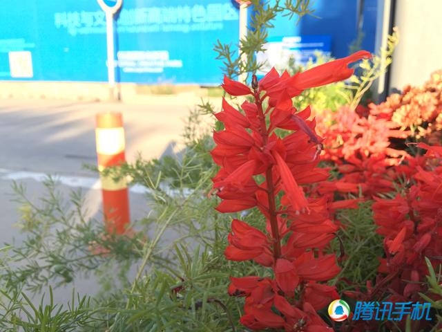 国行iPhone 6/6+评测：史上最好用！