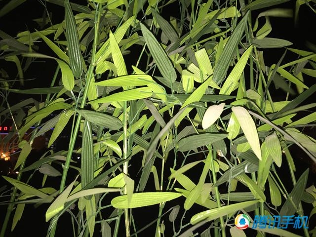 国行iPhone 6/6+评测：史上最好用！