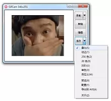 GIFCam的使用教程