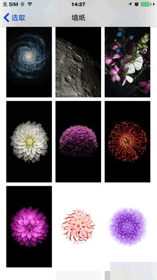 天生骄傲被完爆 锤子手机对比iPhone 6 