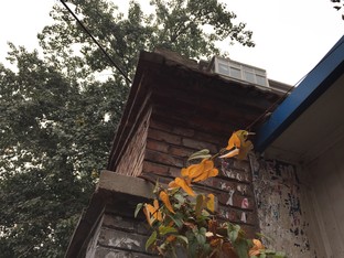 天生骄傲被完爆 锤子手机对比iPhone 6 