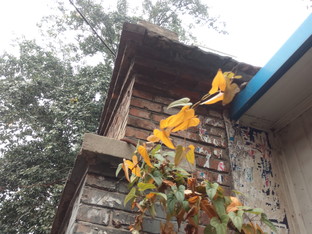 天生骄傲被完爆 锤子手机对比iPhone 6 