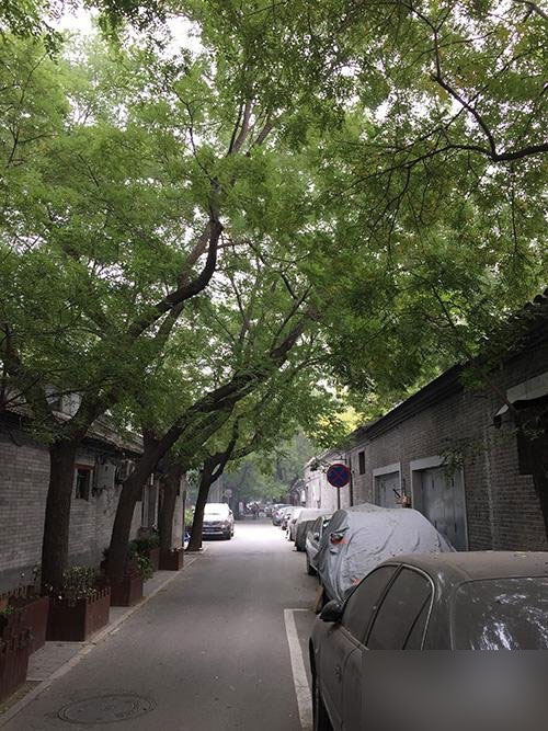 小米手机4对比iPhone6 