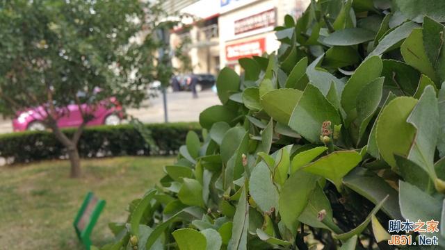 16MP对8MP 三星Note 4/iPhone 6比拍照 