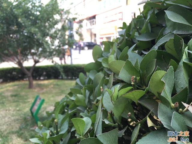 16MP对8MP 三星Note 4/iPhone 6比拍照 