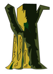 Flash轻松绘制动画中的矢量大树图