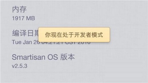 坚果pro2s开发者选项在哪?坚果pro2s开发者选项开启教程
