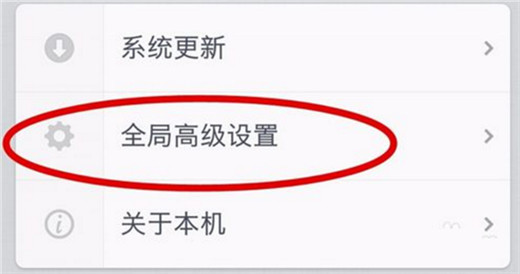 坚果pro2s开发者选项在哪?坚果pro2s开发者选项开启教程