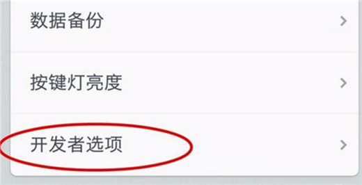 坚果pro2s开发者选项在哪?坚果pro2s开发者选项开启教程