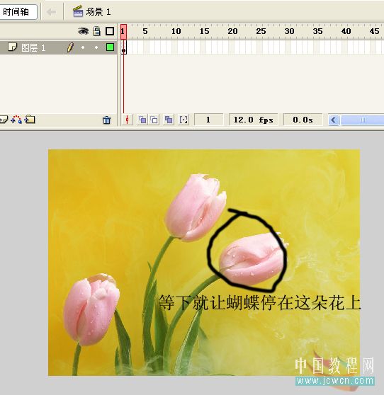 关于影片剪辑在主场景中位置修改的Flash技巧_脚本之家jb51.net网络转载