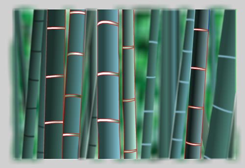 Flash8模糊滤镜绘制逼真青翠竹林__脚本之家jb51.net网络整理