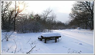 骁龙 410+4G 大神 F1 电信版全面评测 