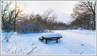 骁龙 410+4G 大神 F1 电信版全面评测 