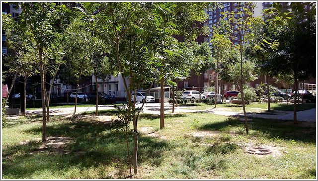 骁龙 410+4G 大神 F1 电信版全面评测 