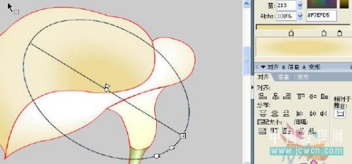 马蹄莲制作过程