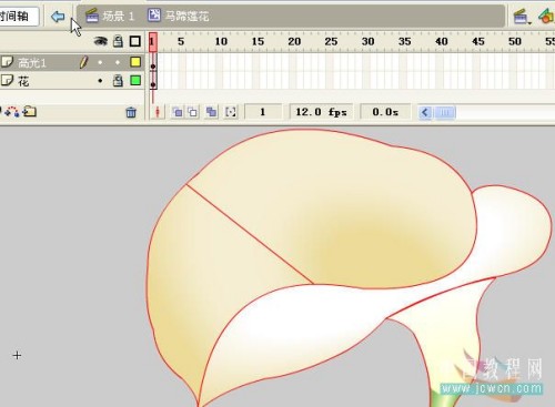 马蹄莲制作过程