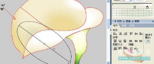 马蹄莲制作过程