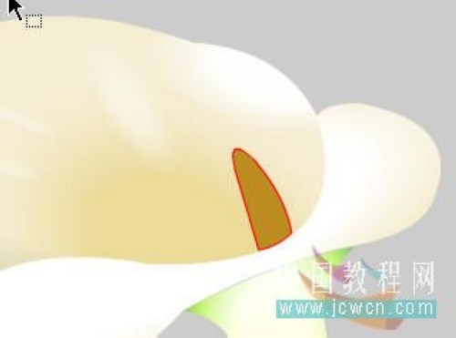 马蹄莲制作过程