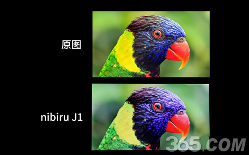 天语nibiru j1屏幕表现怎么样