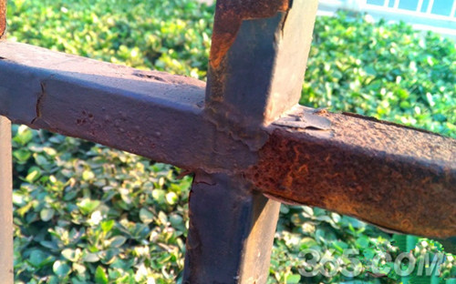 天语nibiru j1拍照功能怎么样