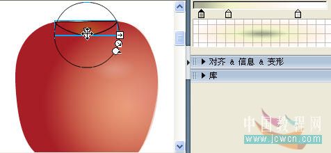 Flash鼠绘实例:绘制写真苹果教程