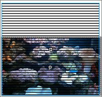 Flash实例教程:模拟海底世界