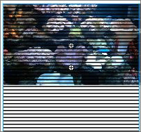 Flash实例教程:模拟海底世界