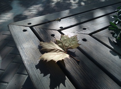 2K屏+金属边框+光学防抖 nubia Z7评测 