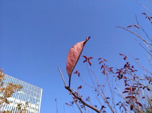 2K屏+金属边框+光学防抖 nubia Z7评测 