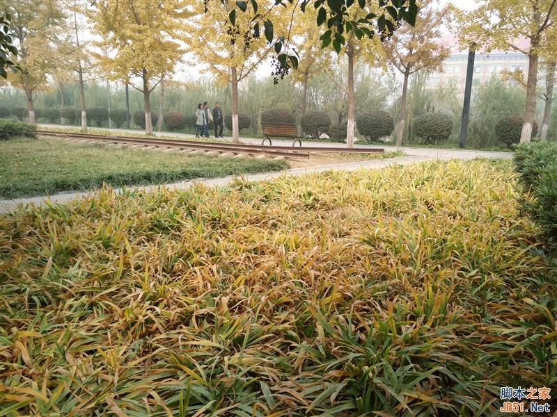 5V/5A：充电速度逆天！OPPO N3全面评测