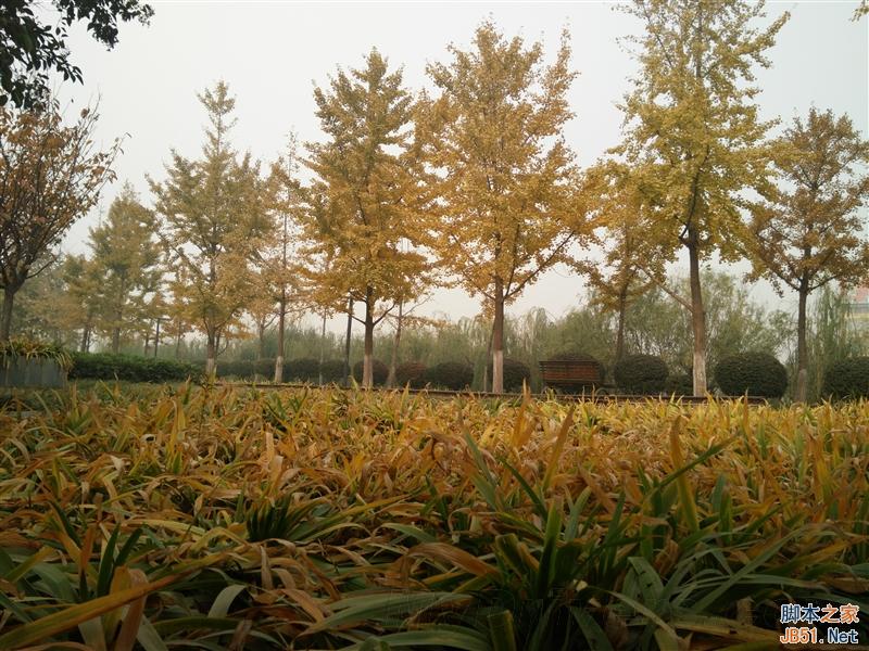 5V/5A：充电速度逆天！OPPO N3全面评测