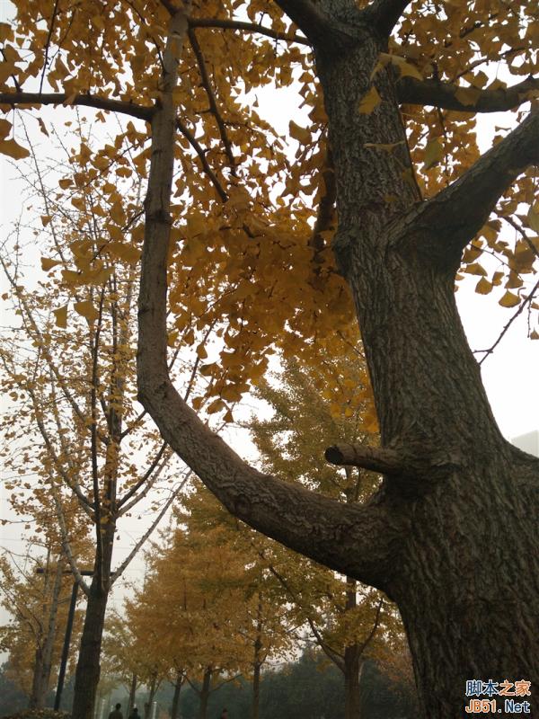 5V/5A：充电速度逆天！OPPO N3全面评测