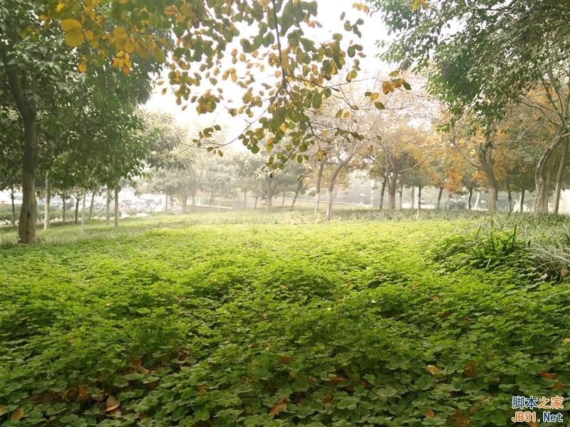 5V/5A：充电速度逆天！OPPO N3全面评测