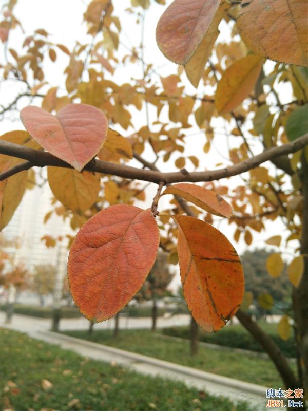 5V/5A：充电速度逆天！OPPO N3全面评测